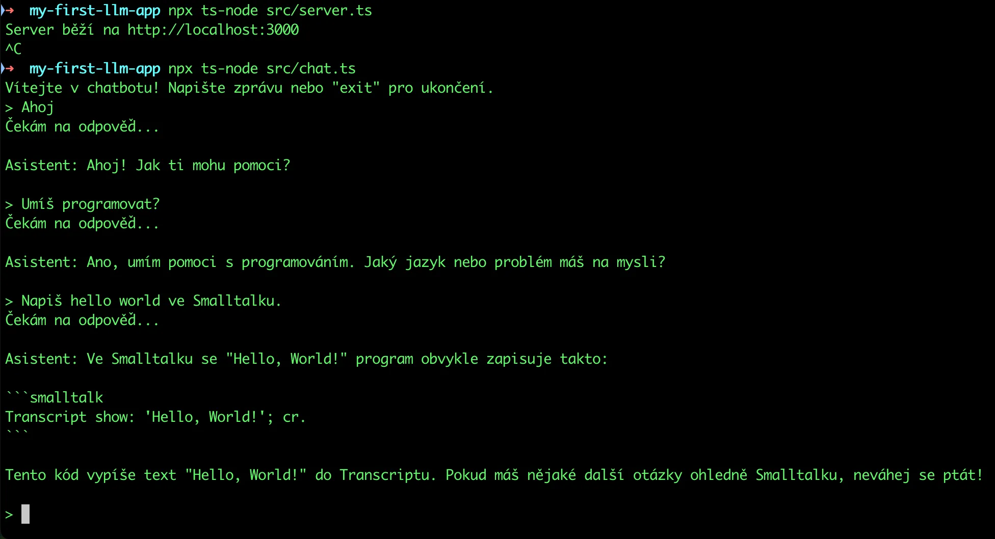 OBRÁZEK 2: Screenshot terminálového okna s ukázkou konverzace s chatbotem